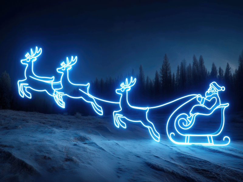 Santa Claus Promotion